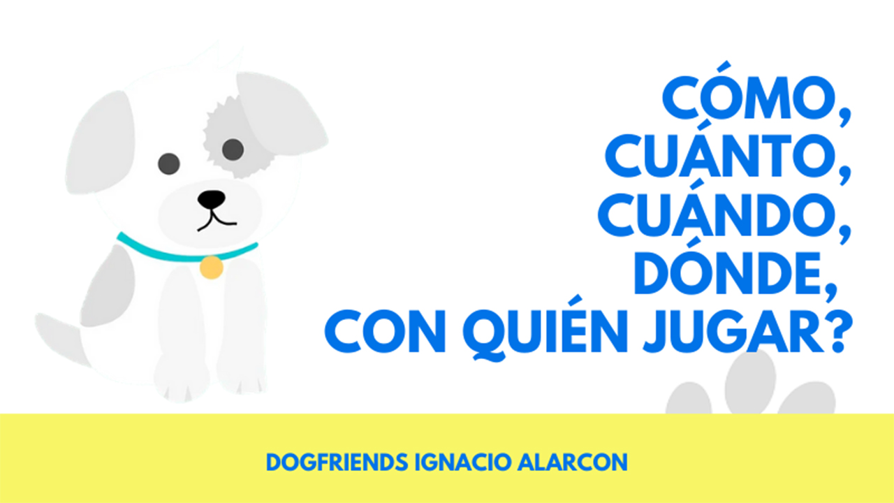 Preguntas de Adiestramiento Canino Ignacio Alarcón